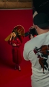 Instragram_Shoot_4_-00461.jpg